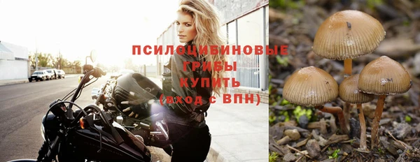 хмурый Алексеевка