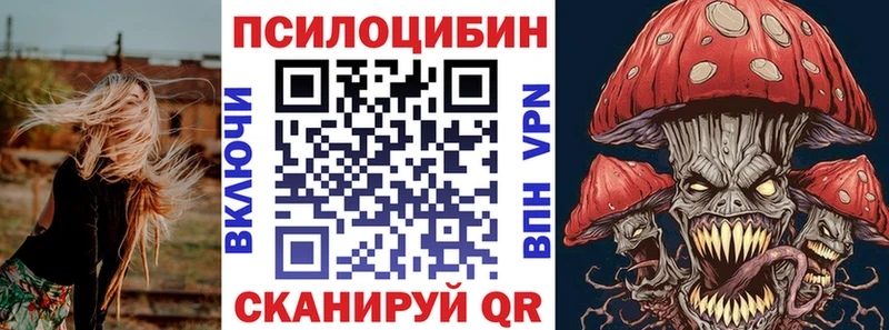 Псилоцибиновые грибы MAGIC MUSHROOMS  MEGA как зайти  Южно-Сухокумск 